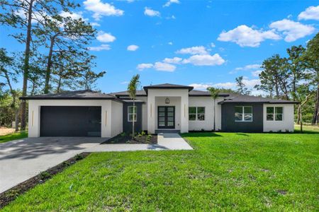 New construction Single-Family house 42191 Cashew St, Eustis, FL 32736 null- photo 0