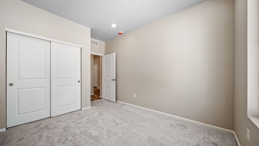 New construction Single-Family house 5012 N Tempe St, Aurora, CO 80019 plan Burano - image 18