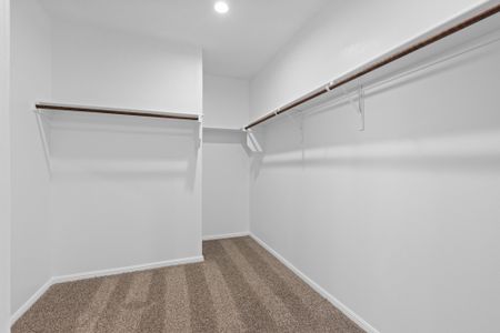 New construction Single-Family house 6102 Bluebell Dr, Odessa, TX 79762 plan Oxford - image 19