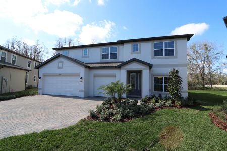 New construction Single-Family house 20125 Oriana Loop, Land O' Lakes, FL 34638 Santina II- photo 199 199