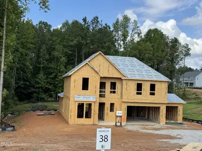 New construction Single-Family house 44 Lipford Ct, Unit 38, Selma, NC 27576 - image