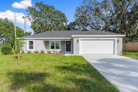 New construction Single-Family house 1366 Peters Drive, Leesburg, FL 34748 - photo 0