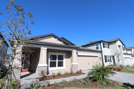 New construction Single-Family house 33227 Amling Pecan Br, Wesley Chapel, FL 33545 Newport II- photo 152 152