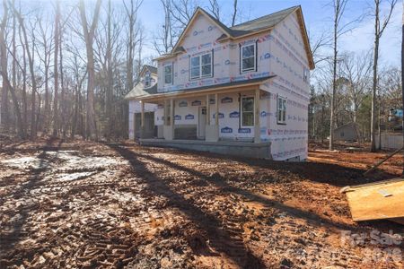 New construction Single-Family house 3692 Shannon Lp, Denver, NC 28037 - image