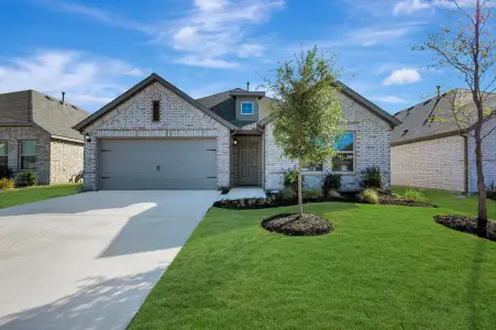 New construction Single-Family house 1601 Etosha Dr, Royse City, TX 75189 plan Herrera - image