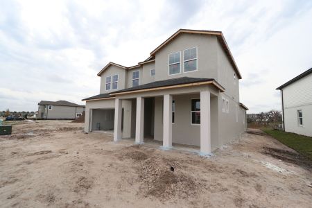 New construction Single-Family house 5691 Maydale Ave, Wesley Chapel, FL 33545 Santa Monica- photo 70 70