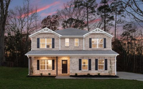 New construction Single-Family house Haida Court, Gastonia, NC 28056 - photo 0