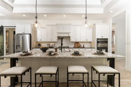 Gran Place by Sam Rodgers Homes in Venice - image 14