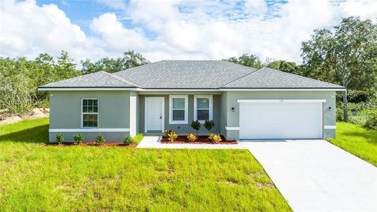 New construction Single-Family house 2590 Sw 162Nd Street Road, Ocala, FL 34473 - photo 0