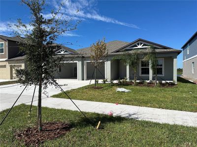 New construction Single-Family house 15157 Zircon Red, Wimauma, FL 33598 - photo 0