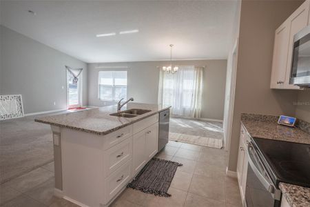 New construction Single-Family house 1482 Ne 160Th Pl, Citra, FL 32113 null- photo 25 25