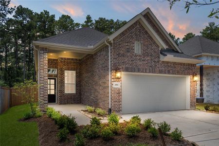 New construction Single-Family house 115 Sea Foam Ct, Willis, TX 77318 null- photo 0