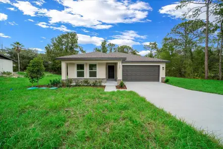 New construction Single-Family house 11041 Spoonbill Rd, Weeki Wachee, FL 34613 - image
