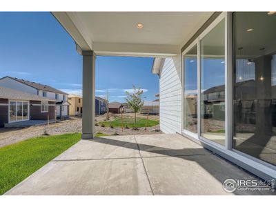 New construction Single-Family house 2494 Cottongrass Ave, Loveland, CO 80538 null- photo 37 37