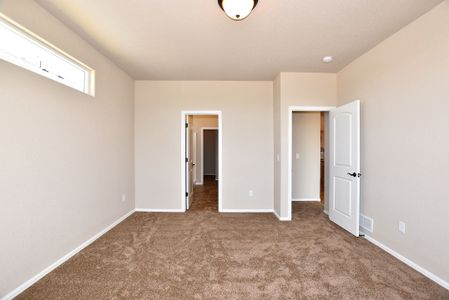 New construction Single-Family house 437 Vivid Ln, Windsor, CO 80550 null- photo 25 25