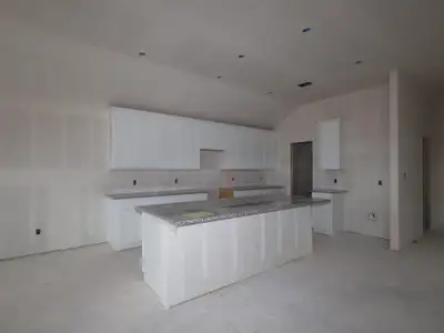 New construction Single-Family house 13709 Warnock Trl, Manor, TX 78653 plan Arlington - image