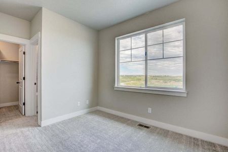 New construction Townhouse house 3425 Triano Creek Dr, Unit 101, Loveland, CO 80538 null- photo 81 81