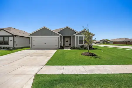 New construction Single-Family house 177 Boxwood Dr, Royse City, TX 75189 - image