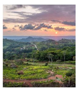 New construction Single-Family house 94 Heartland Chontales, Unit Chontales, Dallas, GA 30157 - image