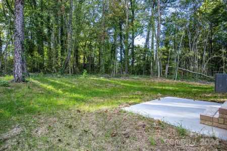 New construction Single-Family house 1125 Kenly St, Salisbury, NC 28144 null- photo 21 21