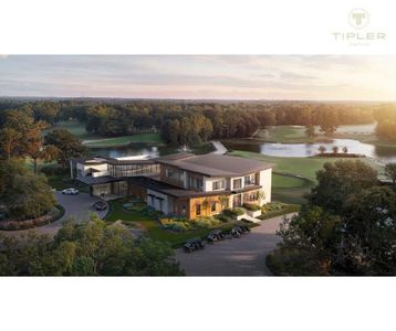 New construction Single-Family house 208 Eminence Isle, Montgomery, TX 77316 - image 4