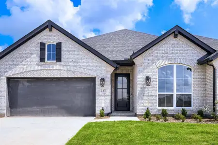 New construction Single-Family house 317 Barn Swallow Dr, Celina, TX 75009 plan 1685 - image