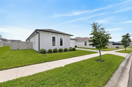 New construction Single-Family house 8634 Drummer Plank Dr, Wesley Chapel, FL 33545 plan  Egret 1  - image