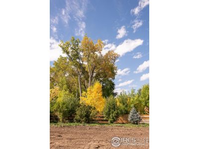 New construction Single-Family house 5610 Baseline Rd, Boulder, CO 80303 - photo 19 19