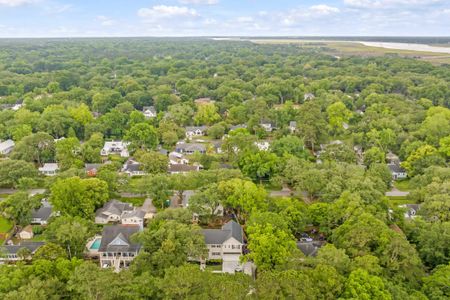 New construction Single-Family house 2159 Parkway Dr, Charleston, SC 29412 null- photo 58 58