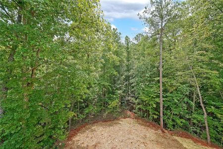 New construction Single-Family house 6305 Carlys Way, Gainesville, GA 30506 Hartwell- photo 25 25