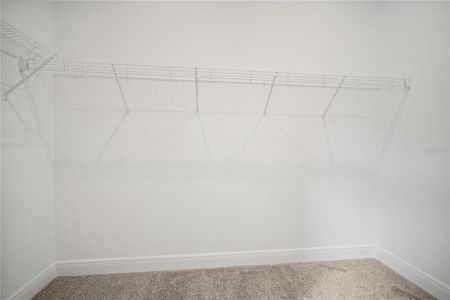 New construction Single-Family house 2951 Stewart Creek Cir, Plant City, FL 33565 plan Belmar - image 18