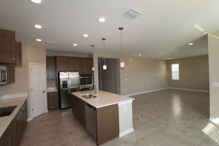 New construction Single-Family house 38326 Tobiano Loop, Dade City, FL 33525 Casanova- photo 112 112