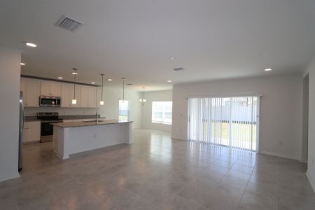 New construction Single-Family house 38350 Tobiano Loop, Dade City, FL 33525 Cabo- photo 164 164