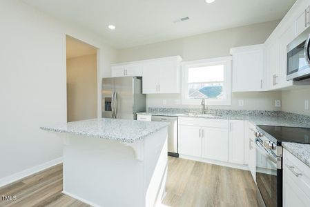 New construction Single-Family house 113 Chester Pl, Pikeville, NC 27863 plan Harper - image 10