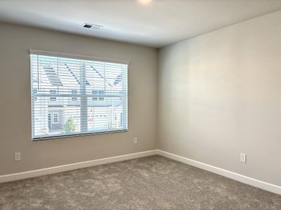 New construction Single-Family house 119 Rock Cress Trl, Greenville, SC 29607 plan The Princeton B - image 19