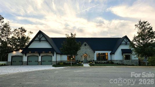 New construction Single-Family house 21 Evian Ct, Asheville, NC 28804 - image