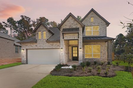 New construction Single-Family house 215 Congo Bay Cir, Willis, TX 77318 plan Pendleton - image