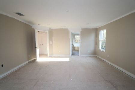 New construction Single-Family house 20125 Oriana Loop, Land O' Lakes, FL 34638 Santina II- photo 135 135