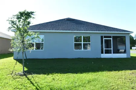 New construction Single-Family house 2916 Canary Ln, Tavares, FL 32778 - image