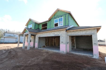 New construction Single-Family house 20264 Oriana Loop, Land O' Lakes, FL 34638 Santa Monica- photo 47 47