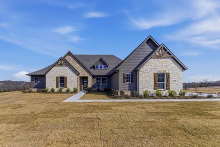 New construction Single-Family house 451 Texas Sage Trl, Weatherford, TX 76085 plan Mockingbird - image