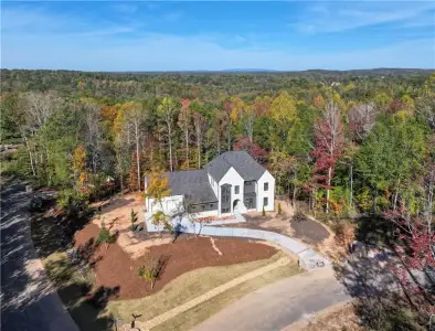 New construction Single-Family house 915 Ebenezer Ln, Milton, GA 30075 - image