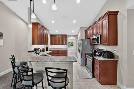 New construction Single-Family house 22081 Sw Pine Bluffs Rd, Dunnellon, FL 34431 - image 11