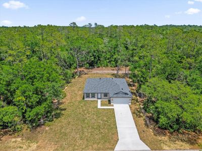 New construction Single-Family house 1377 W Alexander Dr, Citrus Springs, FL 34434 - image