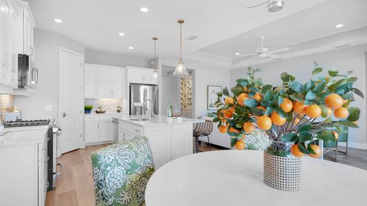 New construction Single-Family house 10025 Hammock Brook Dr, Parrish, FL 34219 plan Meadow Brook - image 15