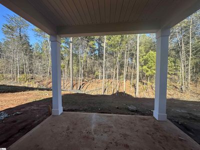 New construction Single-Family house 347 E Pyrenees Dr, Wellford, SC 29385 plan Buck Island II - image