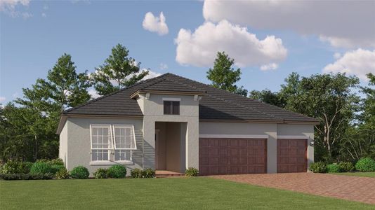 New construction Single-Family house 9600 Minnow Ray Drive, Land O' Lakes, FL 34638 - photo 0