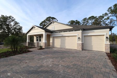 New construction Single-Family house 20219 Oriana Loop, Land O' Lakes, FL 34638 Corina  III- photo 59 59