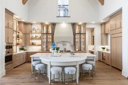 New construction Single-Family house 2320 Sorrelwood Ct, Celina, TX 75009 plan Amalfi - image 2