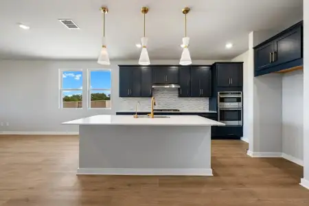 New construction Single-Family house 283 Crater Lake Dr, Dripping Springs, TX 78620 plan Georgia - image 6
